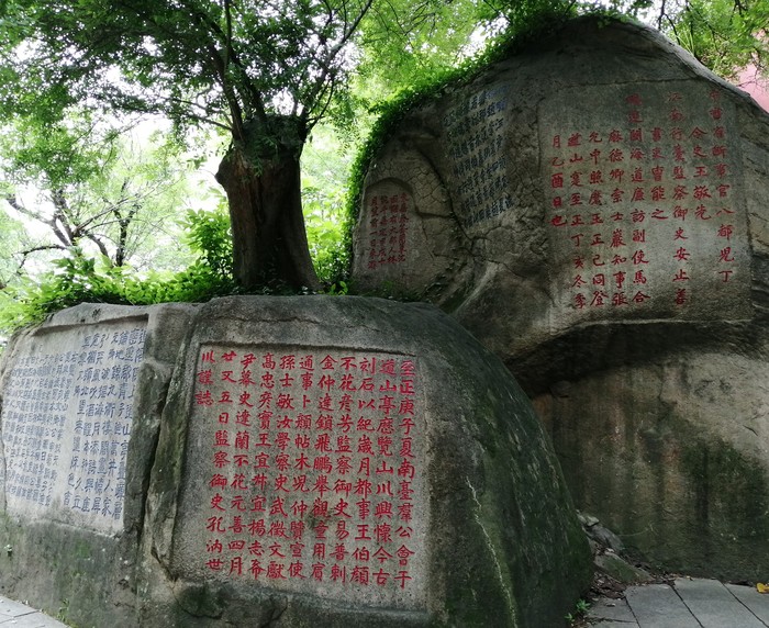微信图片_201905110849302.jpg