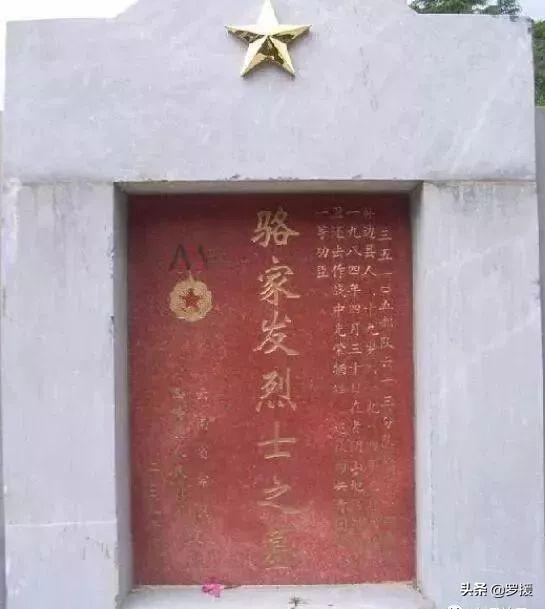 罗援将军泪荐:败仗中的真英雄