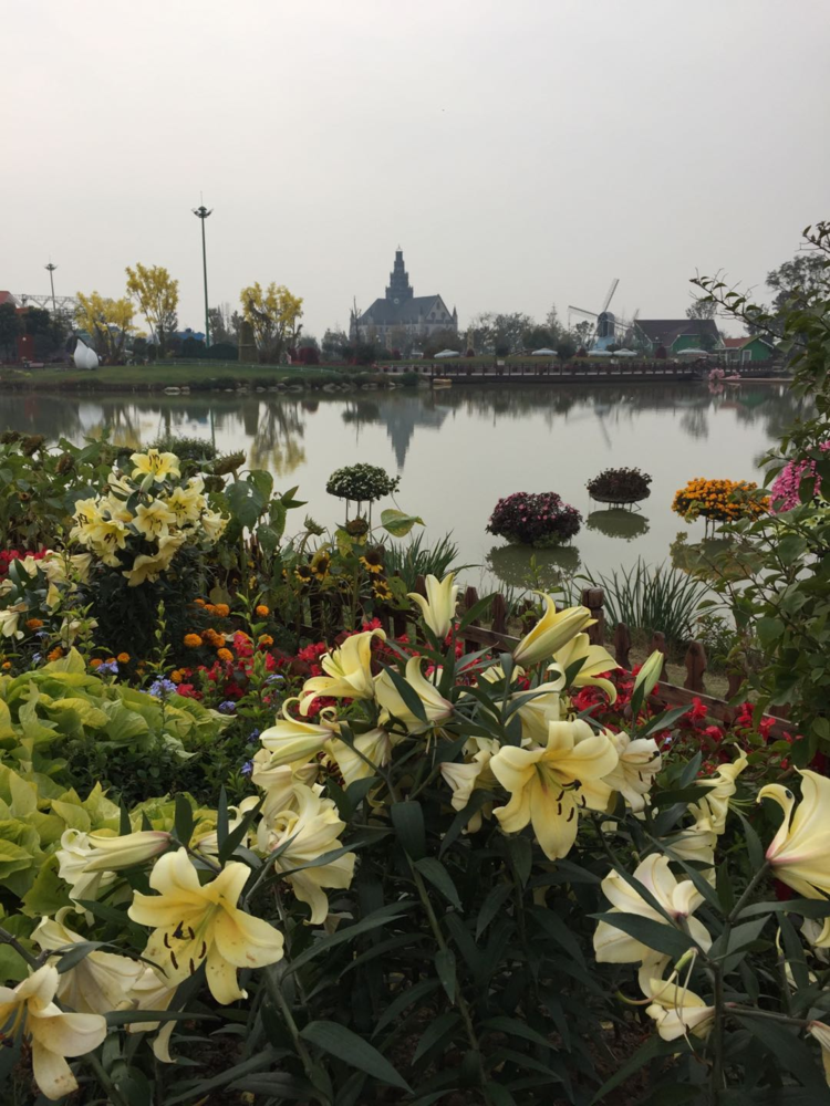 鹽城荷蘭花海度假區位於鹽城市區東南鬥龍港生態組團,大豐城區北的